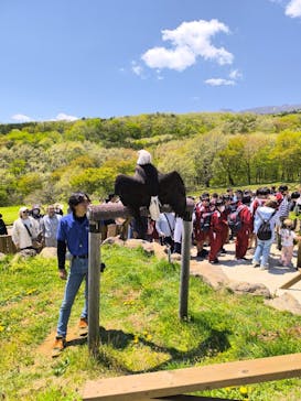 那須どうぶつ王国に投稿された画像（2025/5/9）
