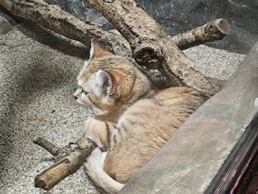 那須どうぶつ王国に投稿された画像（2025/5/9）