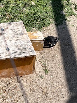 葛西臨海水族園に投稿された画像（2025/5/9）
