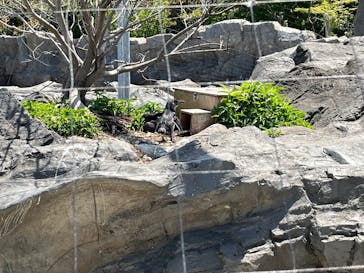 葛西臨海水族園に投稿された画像（2025/5/9）