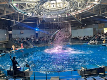 マクセル アクアパーク品川に投稿された画像（2025/5/9）