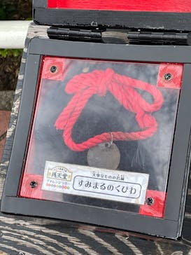 西武園ゆうえんちに投稿された画像（2025/5/9）