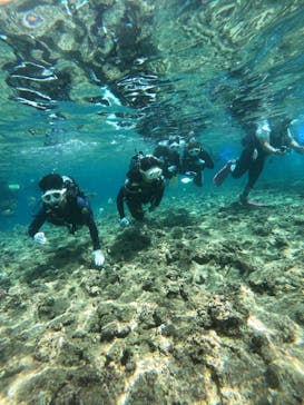 武藤潜水に投稿された画像（2025/5/9）