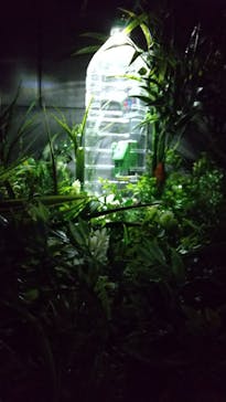 Mozuミニチュア展2025　ようこそ、ちいさな世界へ。に投稿された画像（2025/5/9）