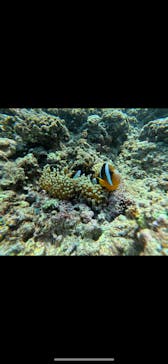 武藤潜水に投稿された画像（2025/5/9）