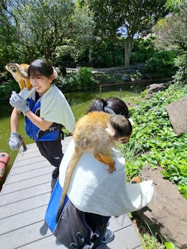 伊豆シャボテン動物公園に投稿された画像（2025/5/9）
