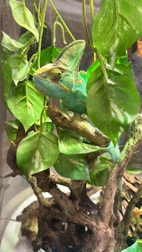 NIFREL（ニフレル）に投稿された画像（2025/5/9）