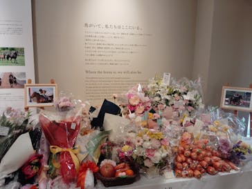 ノーザンホースパークに投稿された画像（2025/5/9）