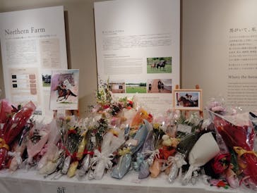 ノーザンホースパークに投稿された画像（2025/5/9）