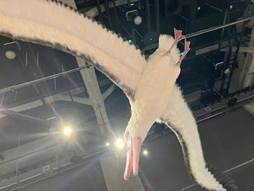 特別展「鳥～ゲノム解析が解き明かす新しい鳥類の系統～」に投稿された画像（2025/5/9）