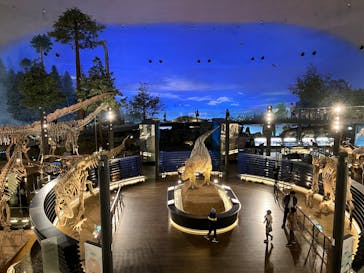 福井県立恐竜博物館に投稿された画像（2025/5/9）