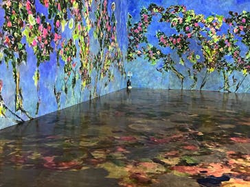 モネ　イマーシブ・ジャーニー　僕が見た光に投稿された画像（2025/5/9）