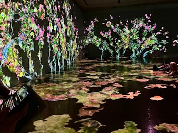 モネ　イマーシブ・ジャーニー　僕が見た光に投稿された画像（2025/5/9）