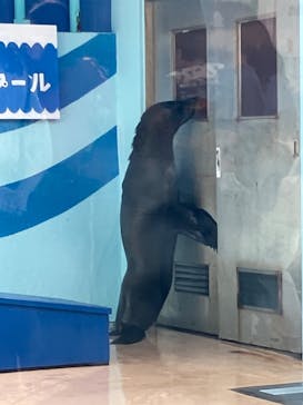 竹島水族館に投稿された画像（2025/5/9）