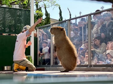 竹島水族館に投稿された画像（2025/5/9）
