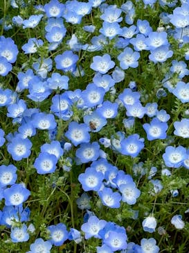 マザー牧場に投稿された画像（2025/5/9）