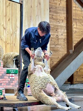 マザー牧場に投稿された画像（2025/5/9）