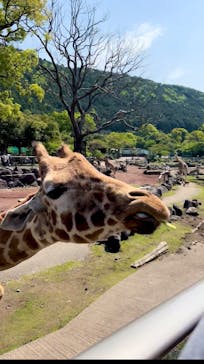 アソビュー！ポイントに投稿された画像（2025/5/9）