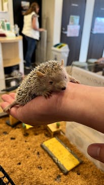 カワウソカフェ®️HARRY浅草店に投稿された画像（2025/5/9）