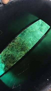 まりんはうすぐるくんに投稿された画像（2025/5/9）