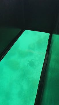 まりんはうすぐるくんに投稿された画像（2025/5/9）