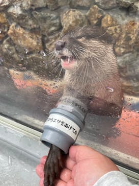 大分マリーンパレス水族館 「うみたまご」に投稿された画像（2025/5/9）