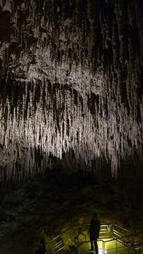 おきなわワールドに投稿された画像（2025/5/9）