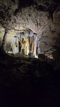 おきなわワールドに投稿された画像（2025/5/9）