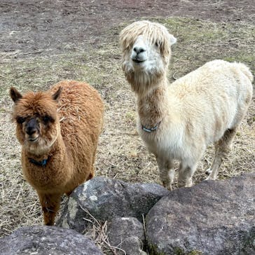 伊豆アニマルキングダムに投稿された画像（2025/5/9）