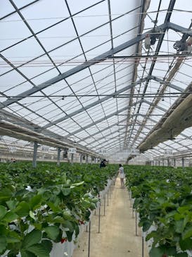 ＠FARMに投稿された画像（2025/5/9）