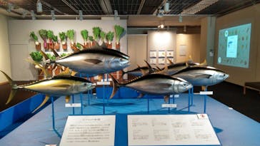 特別展「和食 ～日本の自然、人々の知恵～」に投稿された画像（2025/5/9）