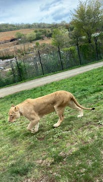 東北サファリパークに投稿された画像（2025/5/9）