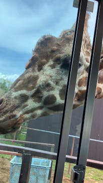 東北サファリパークに投稿された画像（2025/5/9）