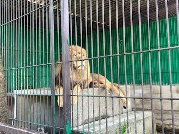 東北サファリパークに投稿された画像（2025/5/9）