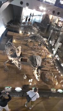 福井県立恐竜博物館に投稿された画像（2025/5/9）