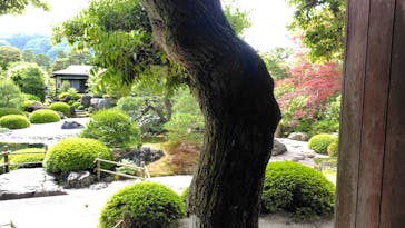 足立美術館に投稿された画像（2025/5/10）