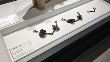 特別展「古代DNA－日本人のきた道」（国立科学博物館）に投稿された画像（2025/5/10）