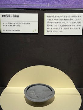 特別展「古代DNA－日本人のきた道」（国立科学博物館）に投稿された画像（2025/5/10）