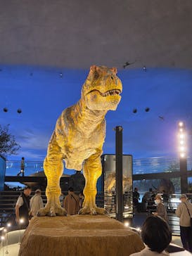 福井県立恐竜博物館に投稿された画像（2025/5/10）