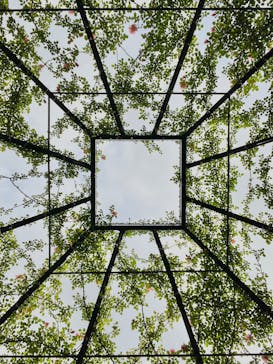 横浜イングリッシュガーデンに投稿された画像（2025/5/10）