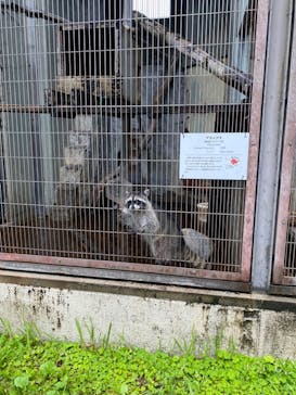 名古屋市東山動植物園に投稿された画像（2025/5/10）