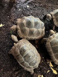 体感型動物園iZooに投稿された画像（2025/5/10）