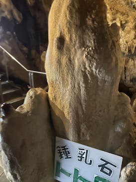 石垣島鍾乳洞に投稿された画像（2025/5/10）