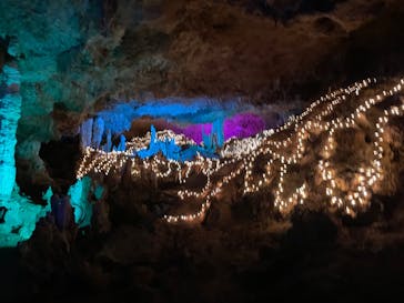 石垣島鍾乳洞に投稿された画像（2025/5/10）