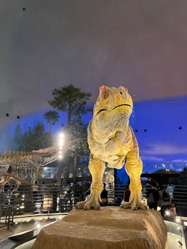 福井県立恐竜博物館に投稿された画像（2025/5/10）