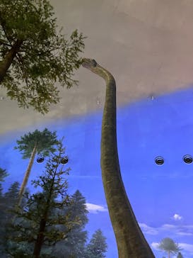 福井県立恐竜博物館に投稿された画像（2025/5/10）