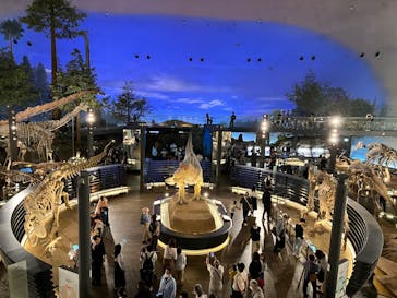 福井県立恐竜博物館に投稿された画像（2025/5/10）