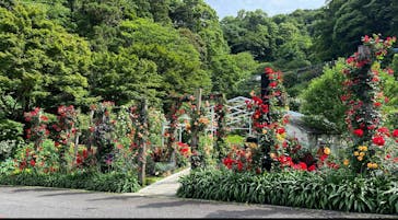 ACAO FORESTに投稿された画像（2025/5/10）