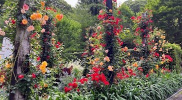 ACAO FORESTに投稿された画像（2025/5/10）