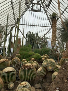 伊豆シャボテン動物公園に投稿された画像（2025/5/10）